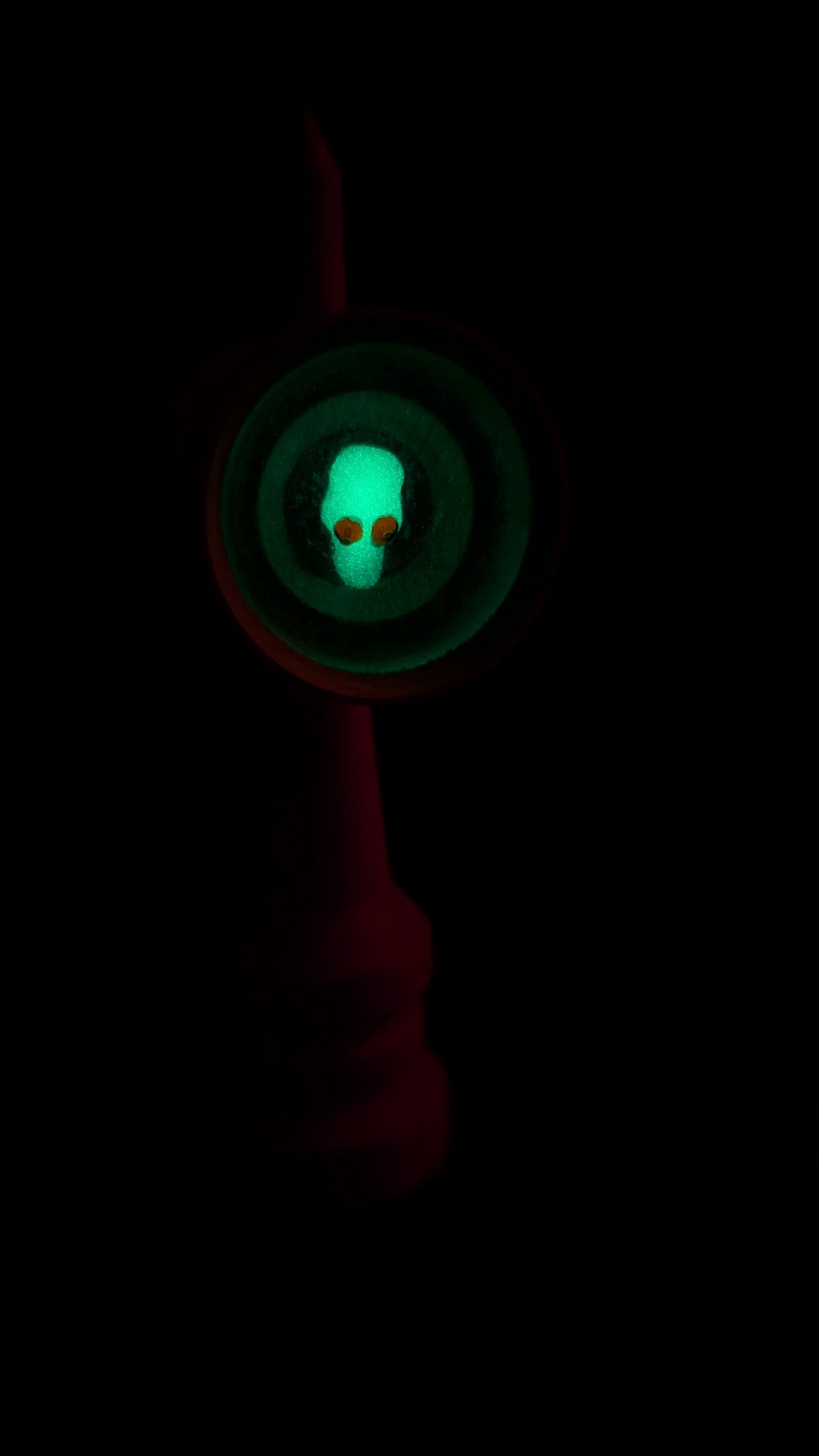 Halloween Skull Ken (GLOW IN THE DARK)