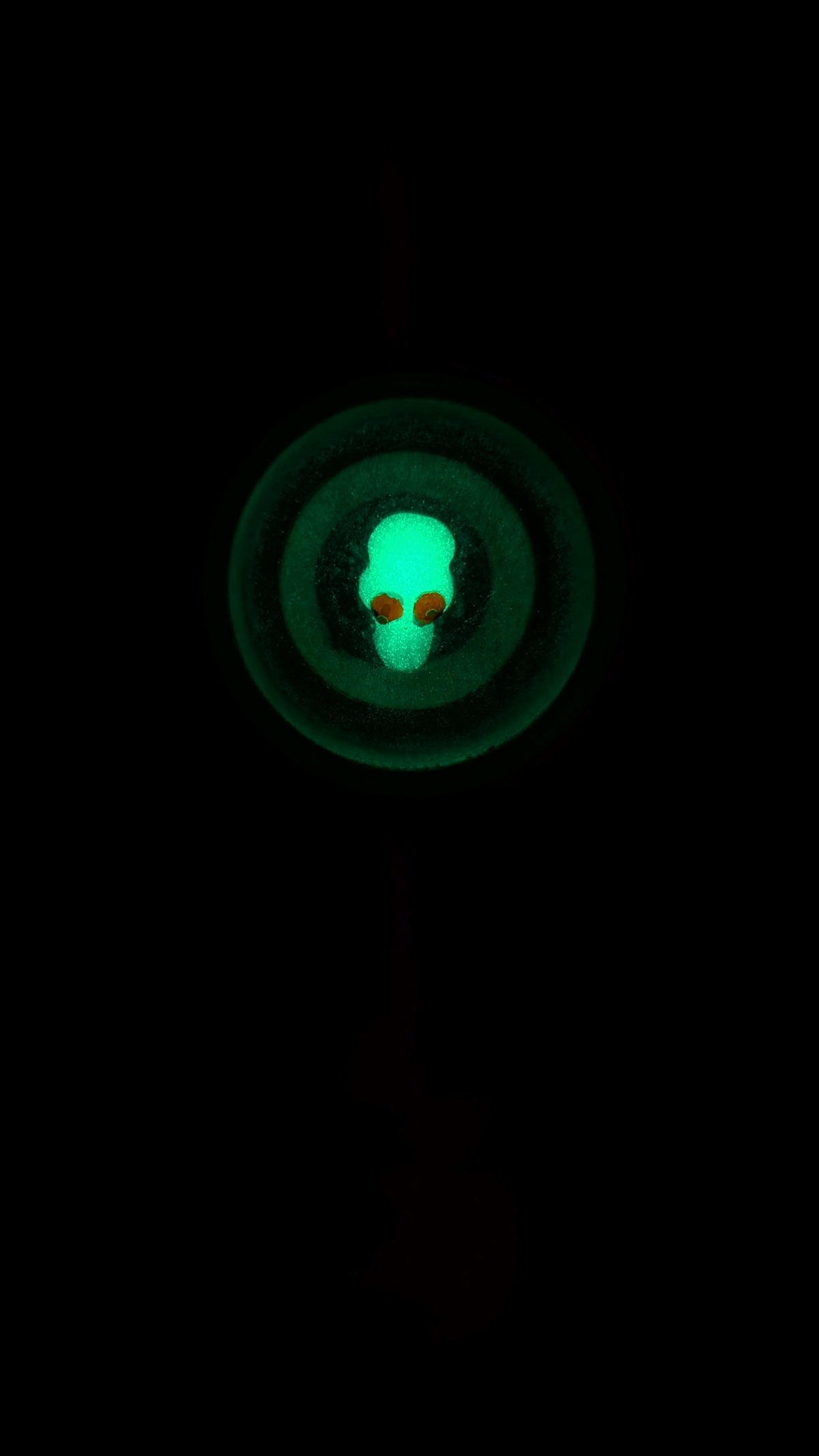 Halloween Skull Ken (GLOW IN THE DARK)